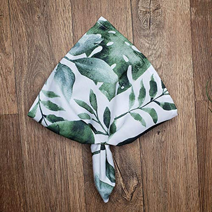 Charlo's Cloth Napkins Set of 4 Monstera Tropical Leaf II 16" by 16" - Green