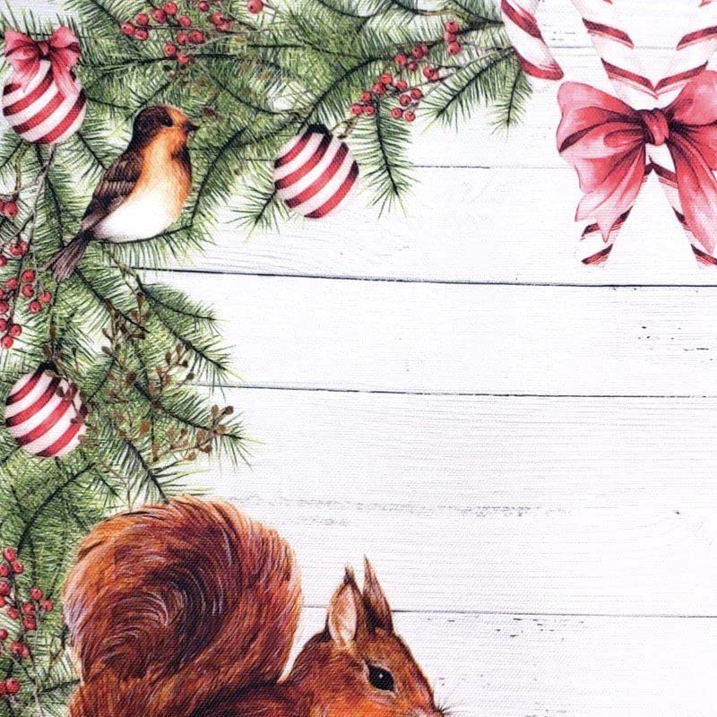 Set of 4 Placemats Christmas Squirrel Cloth Waterproof 17" by 13" Grey